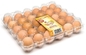 صديقة للبيئة 30 عدد البيض الشقق 32.5 سم علبة بلاستيكية نفطة في فيلم PET