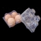 15 عبوة يمكن التخلص منها PET من البلاستيك الشفاف علبة البيض 71 مللي متر مربع حامل صينية البيض