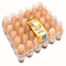 9 قطعة حامل بيض بلاستيكي قابل للتكديس 152 مللي متر صينية إعداد حاضنة مربعة للبيض
