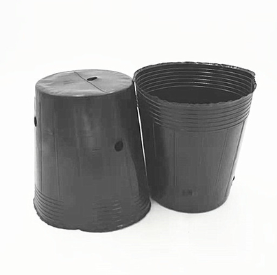 البلاستيك HDPE وعاء الحضانة بذور البصل زراعة الأواني السوداء للدفيئة