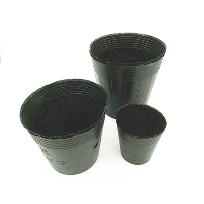 حجم مخصص أسود PVC PS بلاستيكي ناعم زهرة وعاء التغذية للزراعة