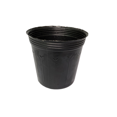 High quality plastic nursery pot black seedling tray