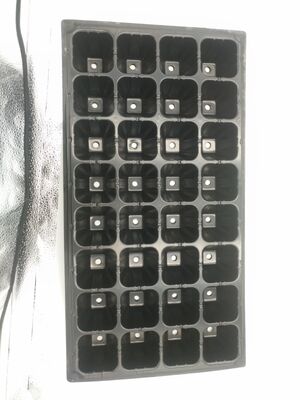 سلة زرع بلاستيكية ذات 32 خلية سميكة 2 مم لأشجار الغابات - مقاومة للشيخوخة ودائمة