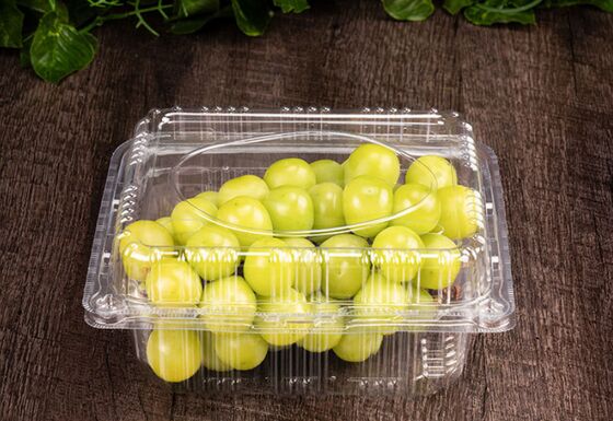 Customizable Recyclable PET Blister Packaging with Heat Sealing for Small Tomato and Grape Packaging