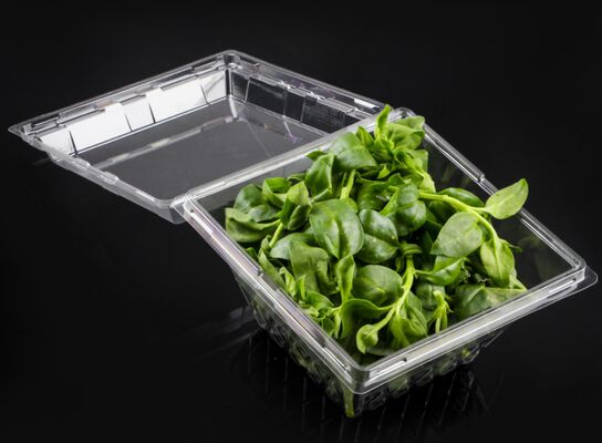 Customizable Recyclable PET Box for Fruits and Vegetables with Thermoforming Transparent Packaging