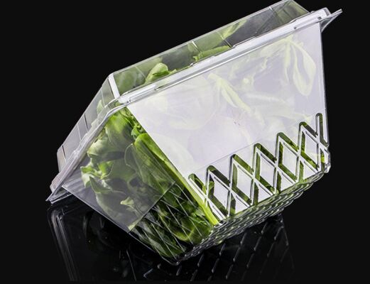 Customizable Recyclable PET Box for Fruits and Vegetables with Thermoforming Transparent Packaging