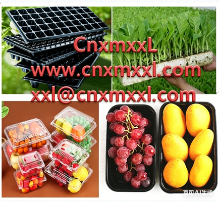 Transparent disposable fruit box, pet plastic strawberry packaging box, supermarket fruit and vegetable packing blister box, wholesale label