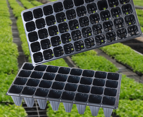 plant propagation tray,germination tray,seeding tray,cell seed tray,greenhouse tray,seed plug tray