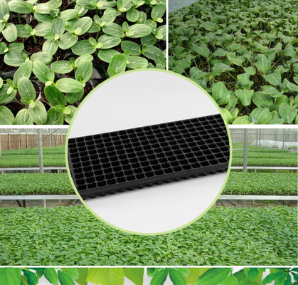 Seedling tray, cell tray, support frame, seedling tray, chili seedling tray, seedling tray,seedling tray for seedling cultivation, ultra-thick corn and sorghum tray, thickened seedling tray, ultra-thi