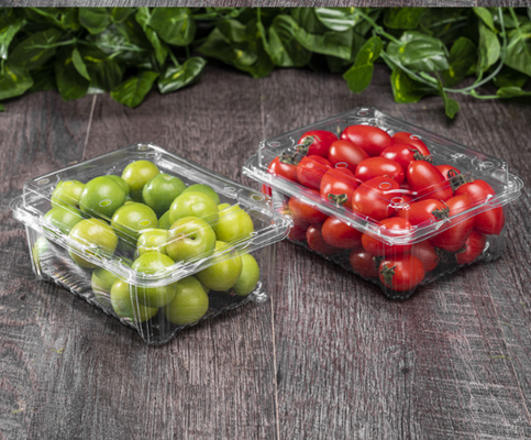 Customized disposable fresh fruit cutting box with transparent lid and compartmentalized fruit packaging box made of PET fruit plastic packing box