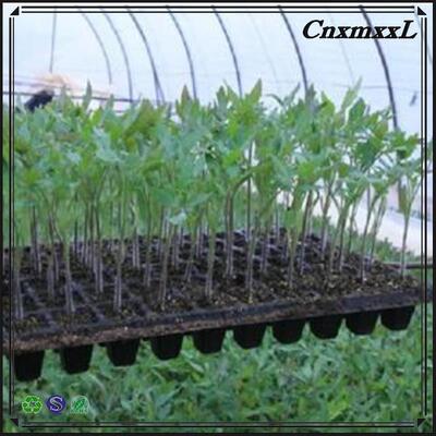 2 مليمتر سميكة 32 50 98 108 118 200 خلية من البلاستيك من أجل أشجار الغابات - مقاومة للشيخوخة ودائمة