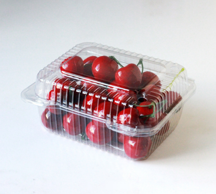 produces fruit tray packaging, meat packaging boxes, vegetable packaging boxes, seedling trays, plastic flower pots, fast food boxes, as well as PVC, PP, PET transparent boxes and printed boxes.